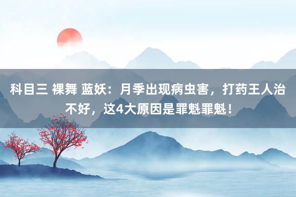 科目三 裸舞 蓝妖：月季出现病虫害，打药王人治不好，这4大原因是罪魁罪魁！