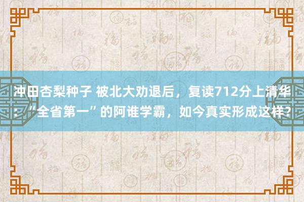 冲田杏梨种子 被北大劝退后，复读712分上清华：“全省第一”的阿谁学霸，如今真实形成这样？