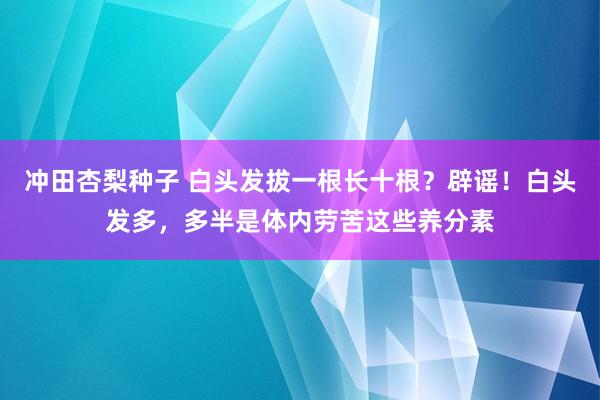 冲田杏梨种子 白头发拔一根长十根？辟谣！白头发多，多半是体内劳苦这些养分素
