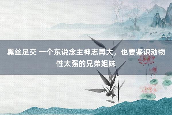 黑丝足交 一个东说念主神志再大，也要鉴识动物性太强的兄弟姐妹
