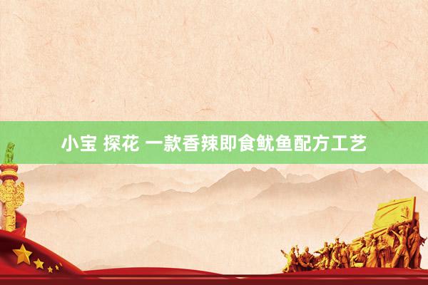 小宝 探花 一款香辣即食鱿鱼配方工艺