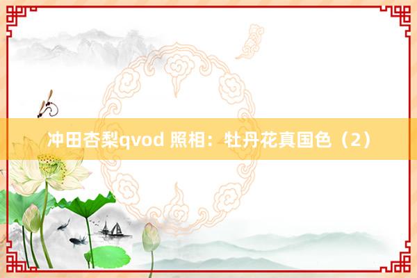 冲田杏梨qvod 照相：牡丹花真国色（2）
