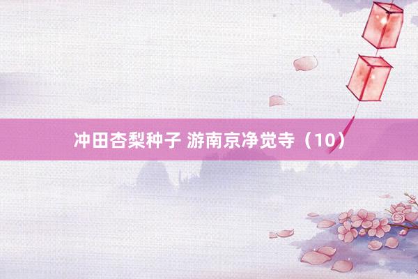 冲田杏梨种子 游南京净觉寺（10）